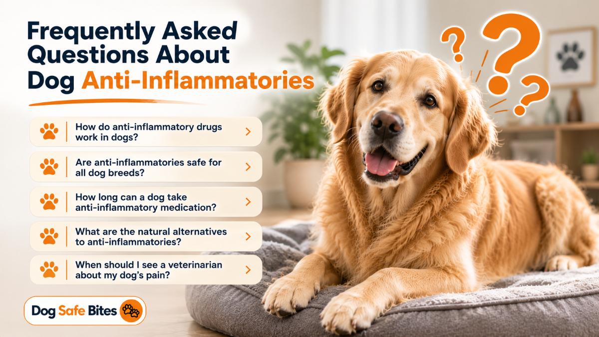 Frequently Asked Questions